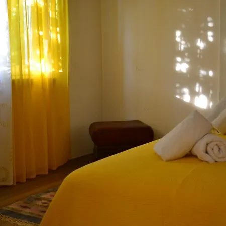 Apartment Diklo Zadar