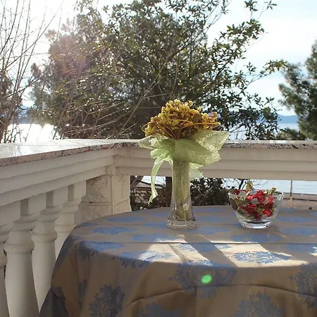 Lejlighed Diklo Zadar